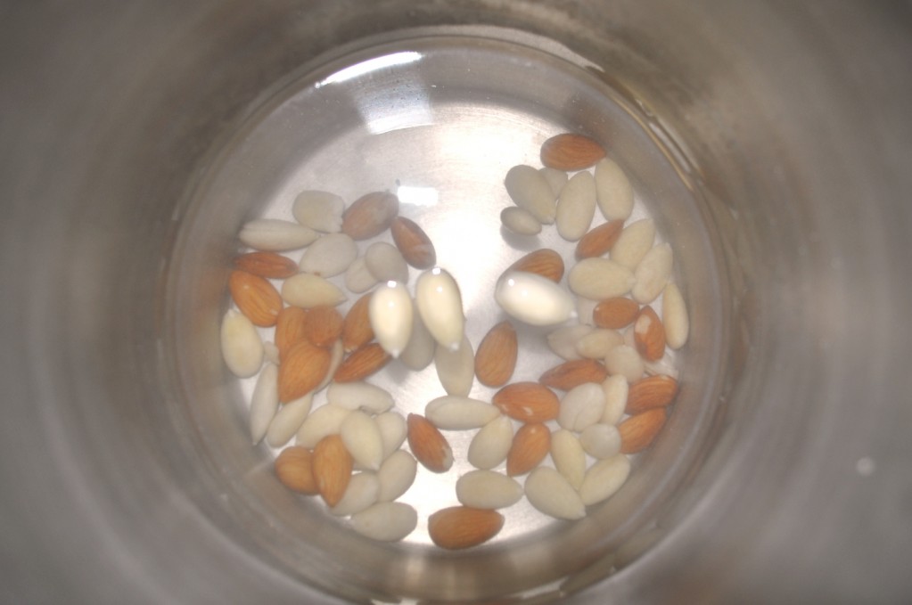 Cold Process Soap Half and Half Method with Almond Milk — Adventures