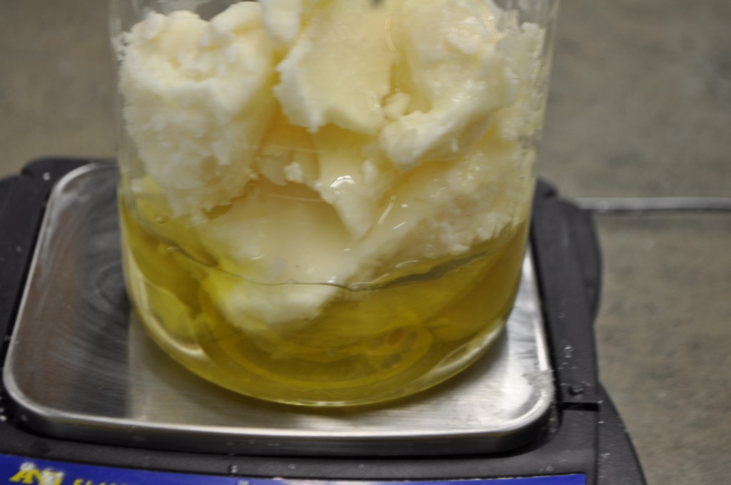 Making Soap with Castor Oil — Adventures With The Sage