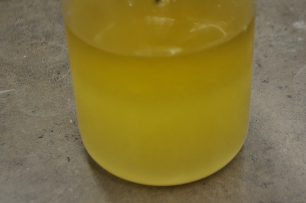 Making Soap with Castor Oil — Adventures With The Sage