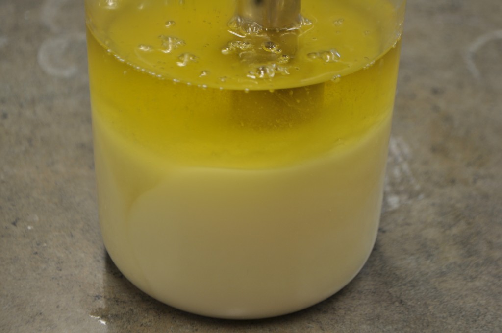 Making Soap with Castor Oil — Adventures With The Sage