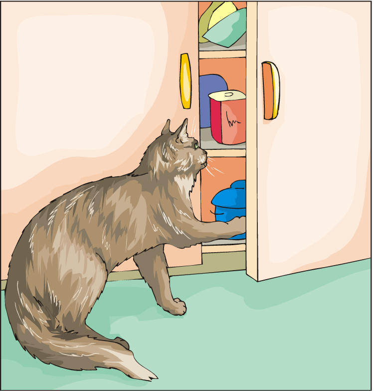 October Challenge What's in Your Cupboard? — Adventures With The Sage