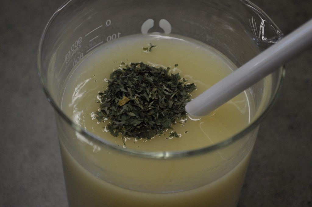 Parsley in Cold Process Soap — Adventures With The Sage