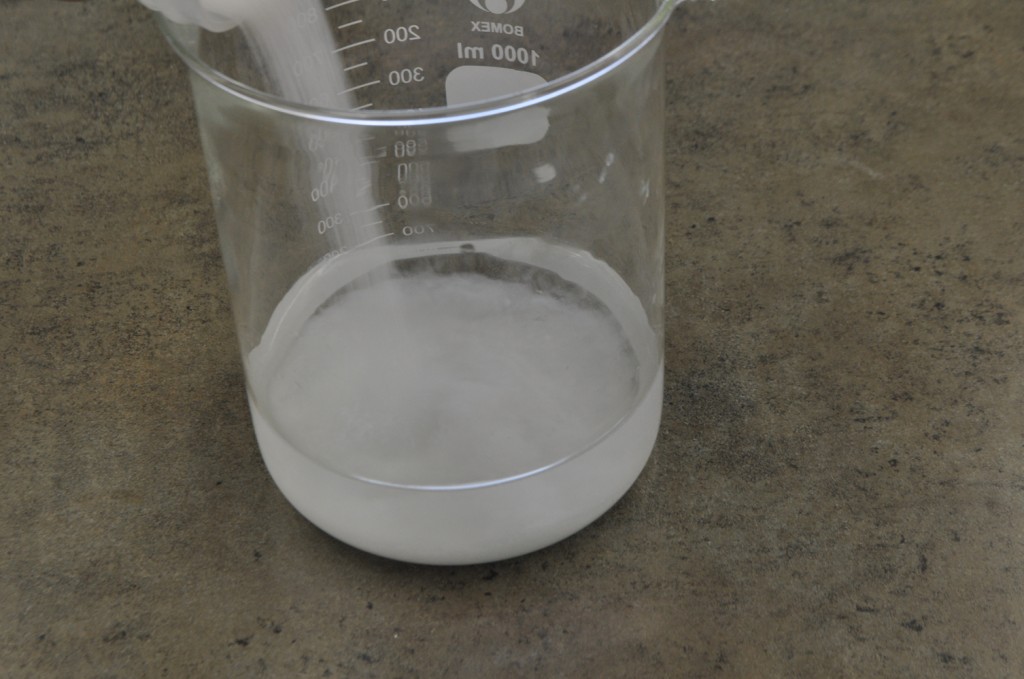 Single Oil Soap Hydrogenated Soybean Oil — Adventures With The Sage