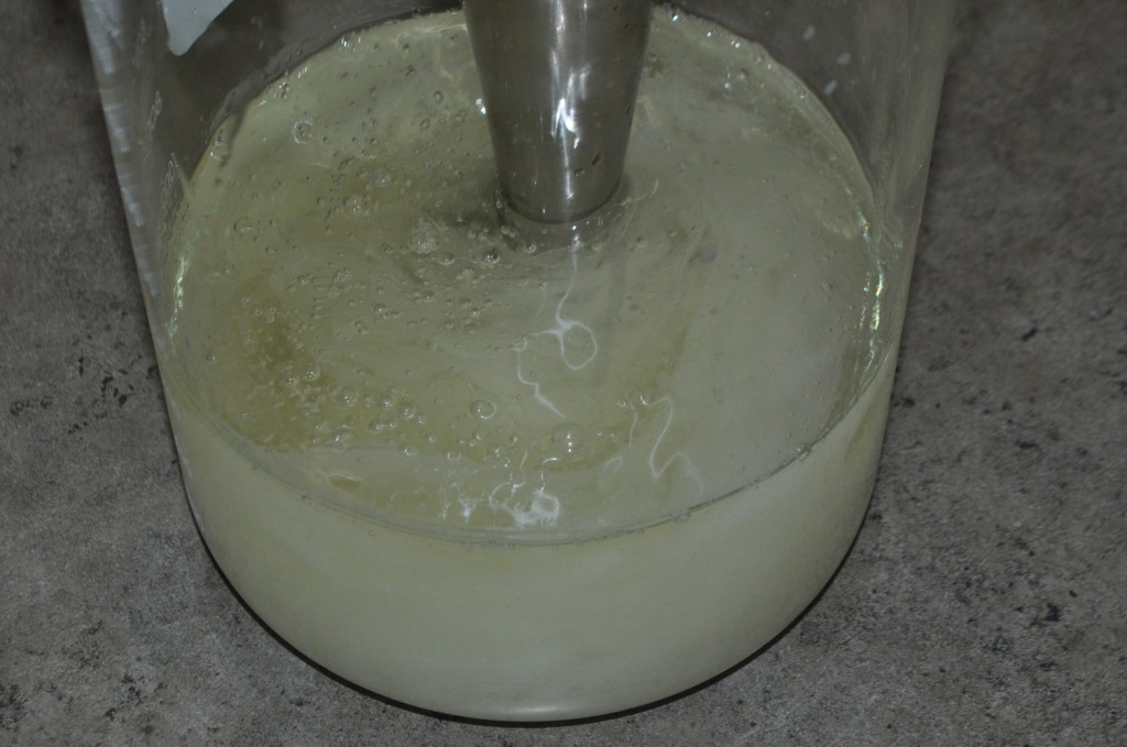 Single Oil Soap Hydrogenated Soybean Oil — Adventures With The Sage